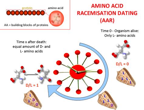 amino acid racemisation dating